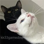 Avatar of Rabia Anwar